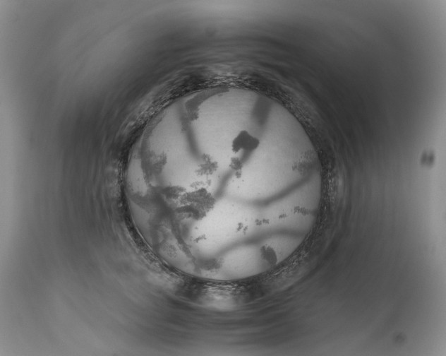 X0000111030757200907091545