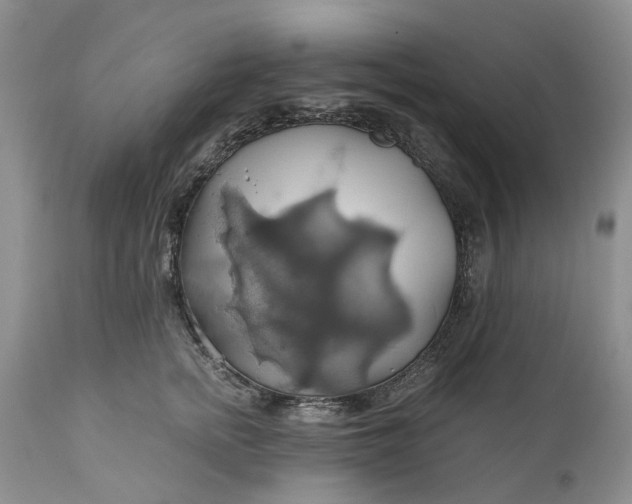 X0000111030758200907091545