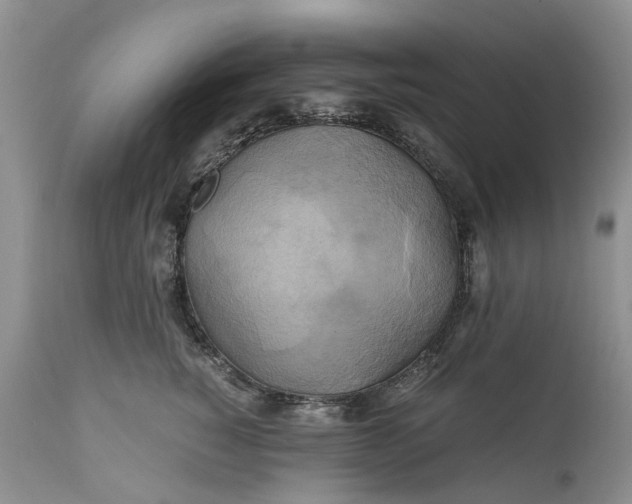 X0000111030760200907091545