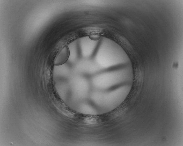 X0000111030761200907091545