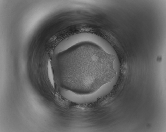 X0000111030763200907091545