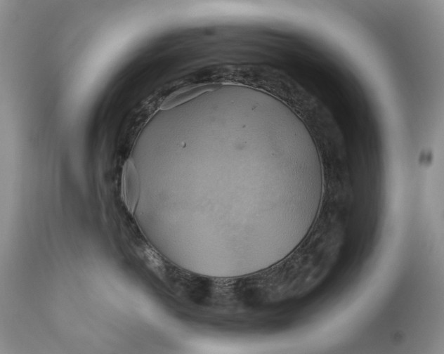 X0000111030766200907091545