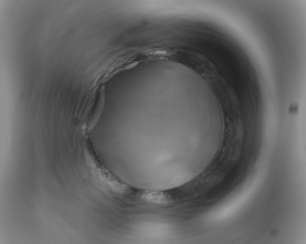 X0000111030767200907091545