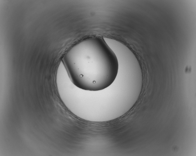 X0000111030768200907091545