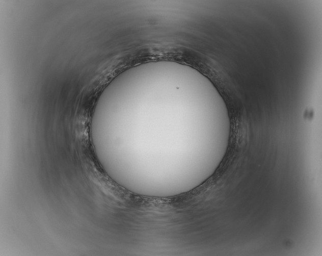 X0000111030770200907091544