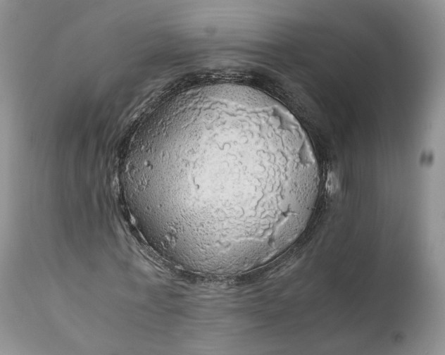 X0000111030771200907091544