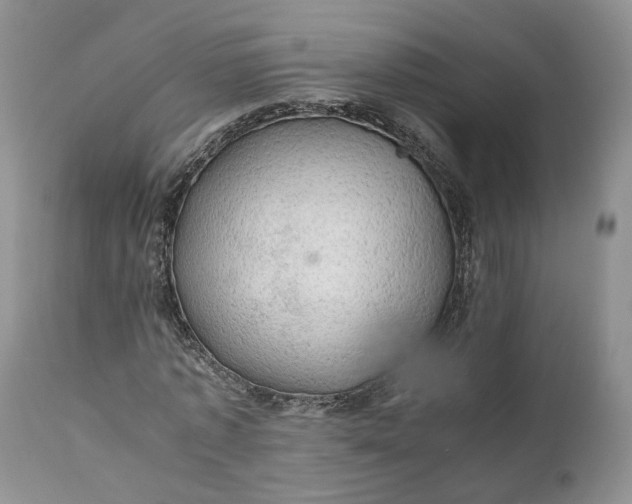 X0000111030773200907091544