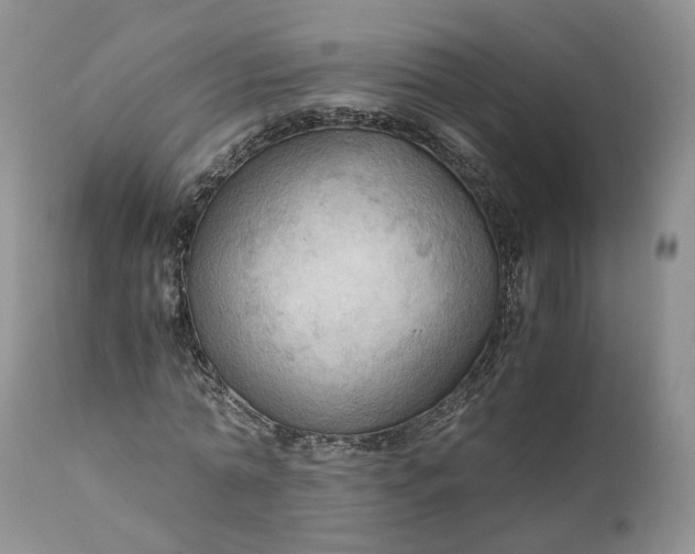 X0000111030774200907091544