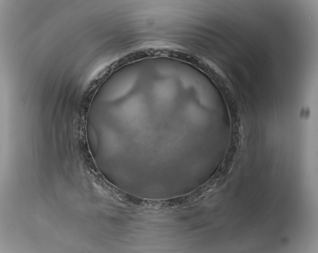 X0000111030775200907091544