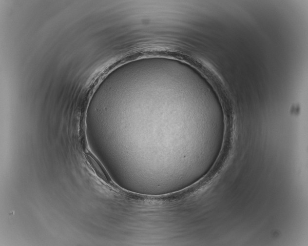 X0000111030777200907091544