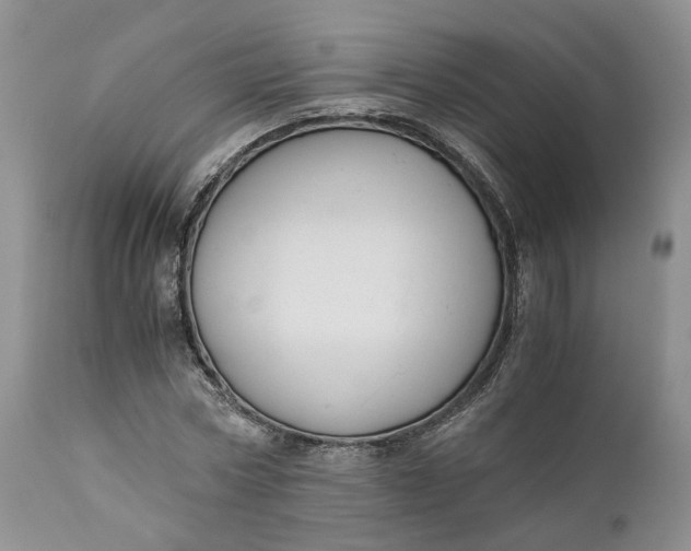 X0000111030778200907091544