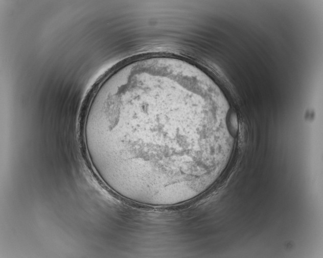 X0000111030780200907091544