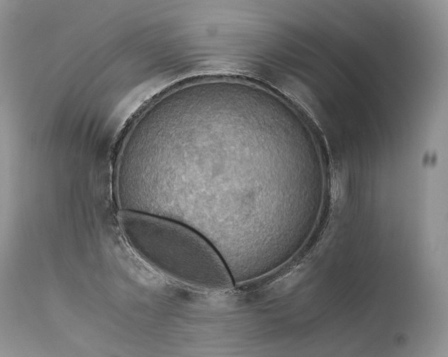 X0000111030781200907091544