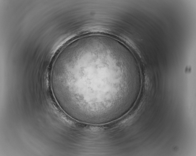 X0000111030782200907091544