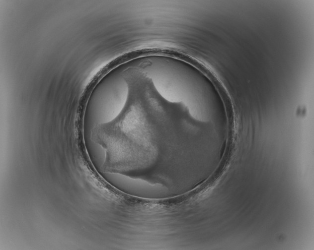 X0000111030783200907091544