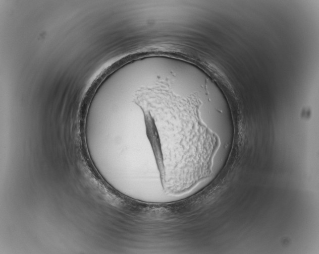 X0000111030784200907091544