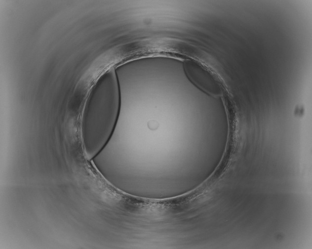 X0000111030785200907091544