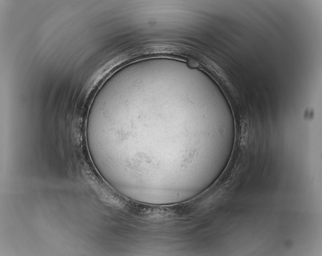 X0000111030786200907091544