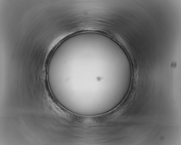 X0000111030787200907091544