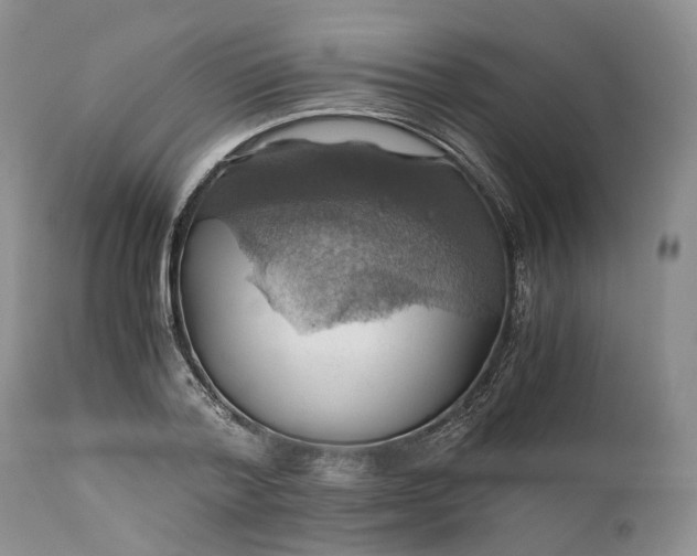 X0000111030788200907091544
