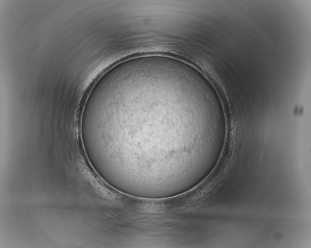 X0000111030789200907091544