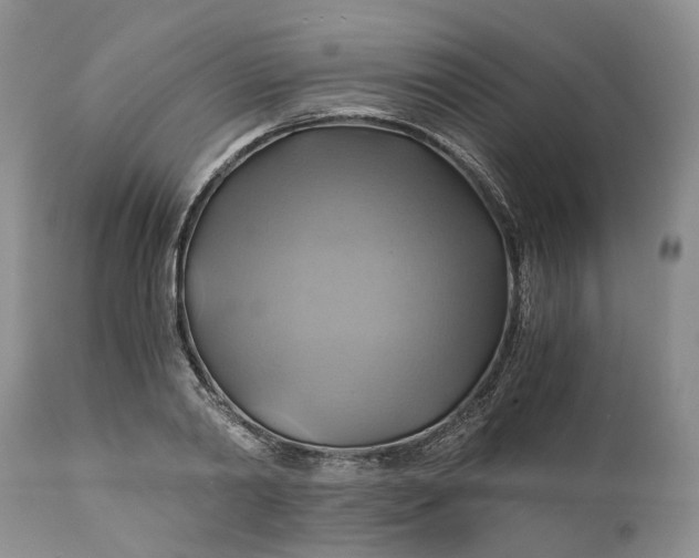 X0000111030790200907091544