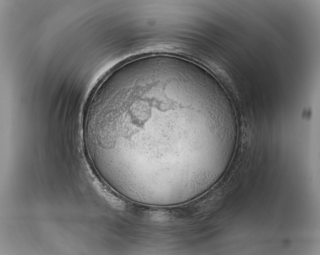 X0000111030792200907091544