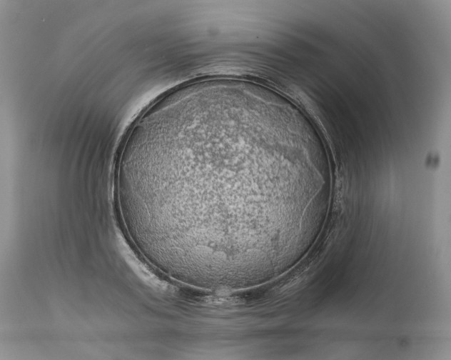 X0000111030795200907091544