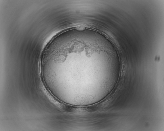 X0000111030796200907091544