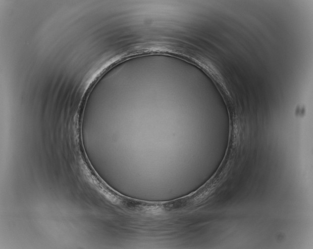 X0000111030798200907091544