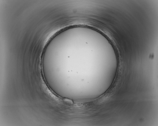 X0000111030799200907091544