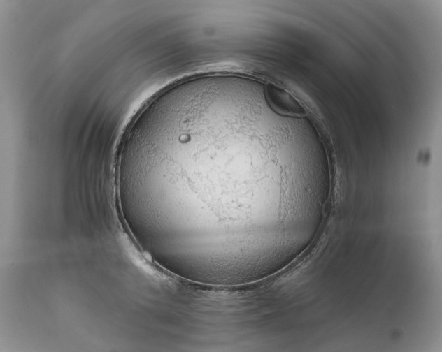 X0000111030800200907091544