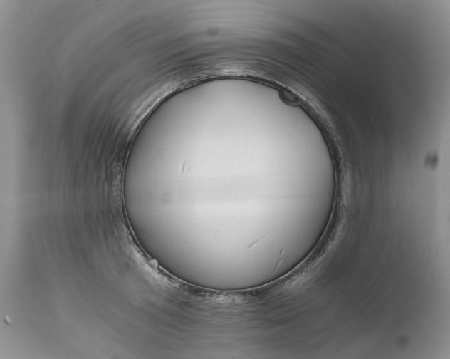 X0000111030801200907091544
