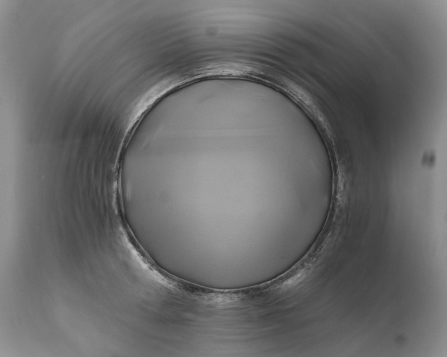 X0000111030802200907091544