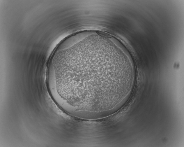 X0000111030804200907091544