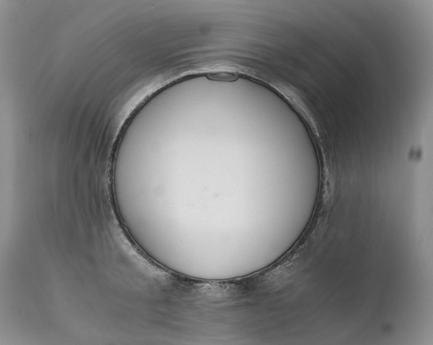 X0000111030805200907091544