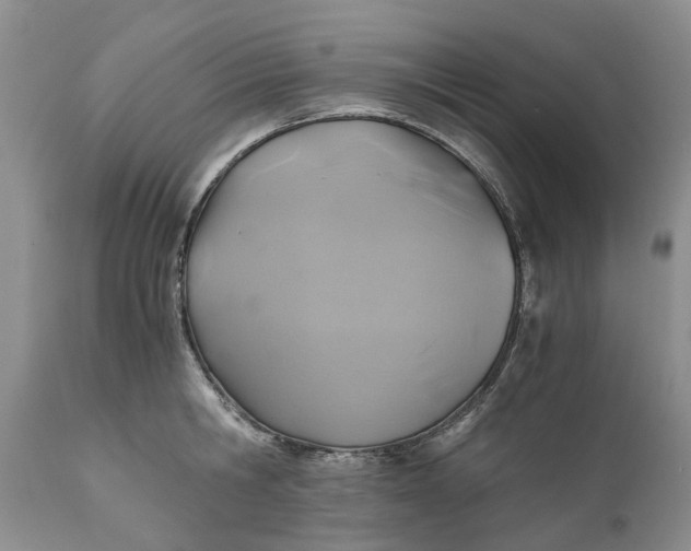 X0000111030806200907091544