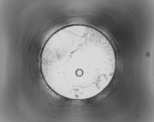 X0000111030807200907091544