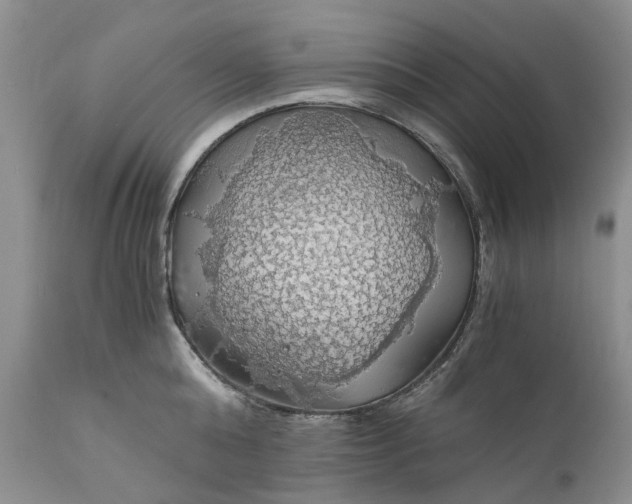 X0000111030808200907091543