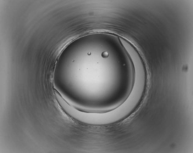 X0000111030809200907091543