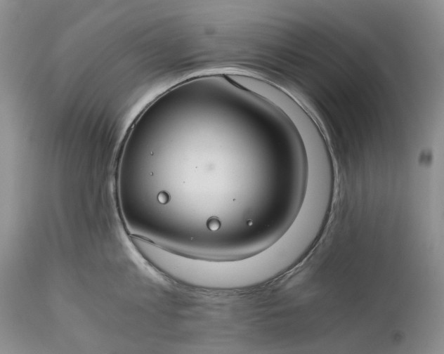 X0000111030813200907091543