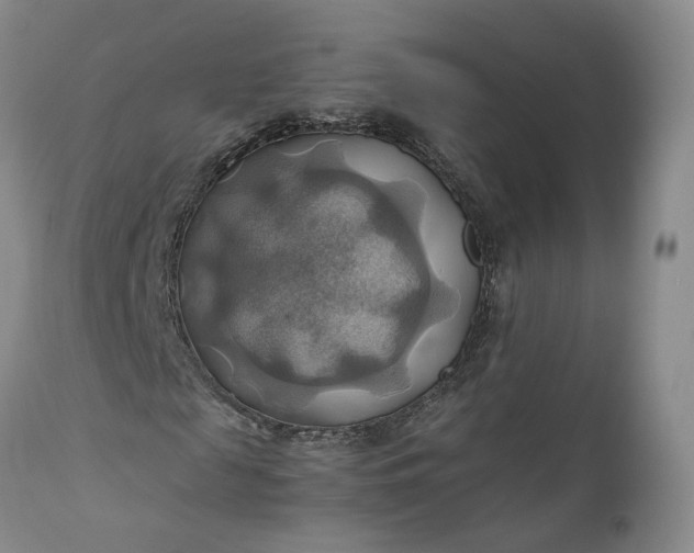 X0000111030817200907091543
