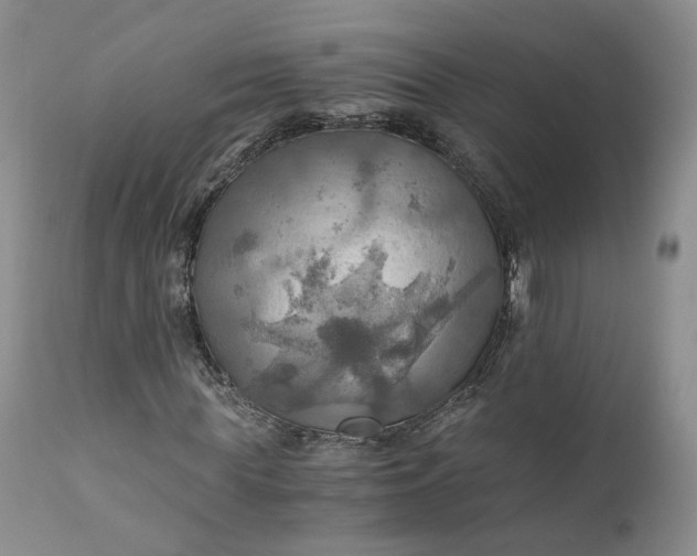 X0000111030819200907091543