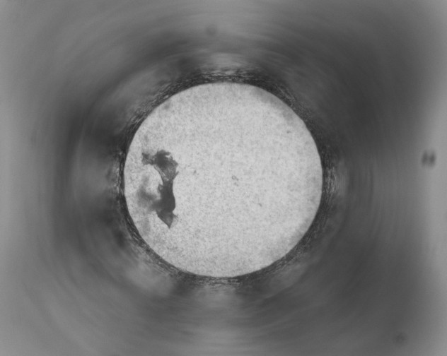 X0000111030820200907091543