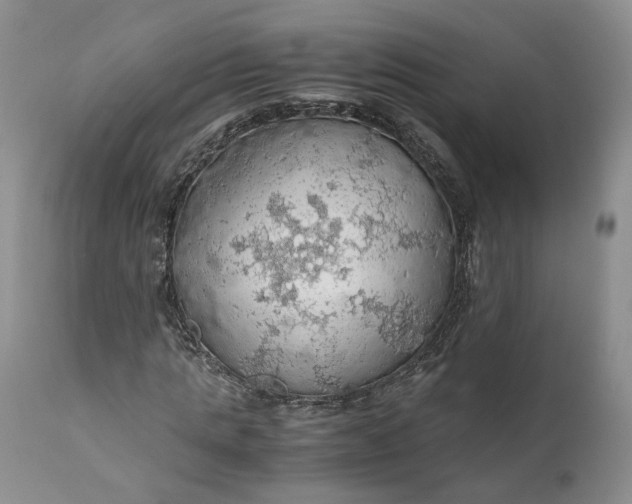 X0000111030821200907091543