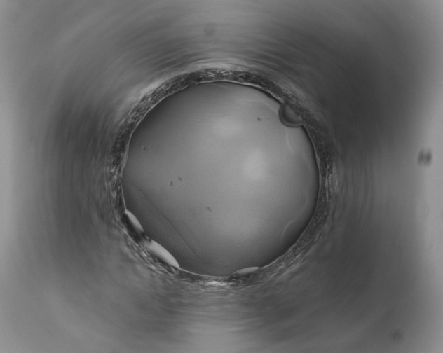 X0000111030822200907091543