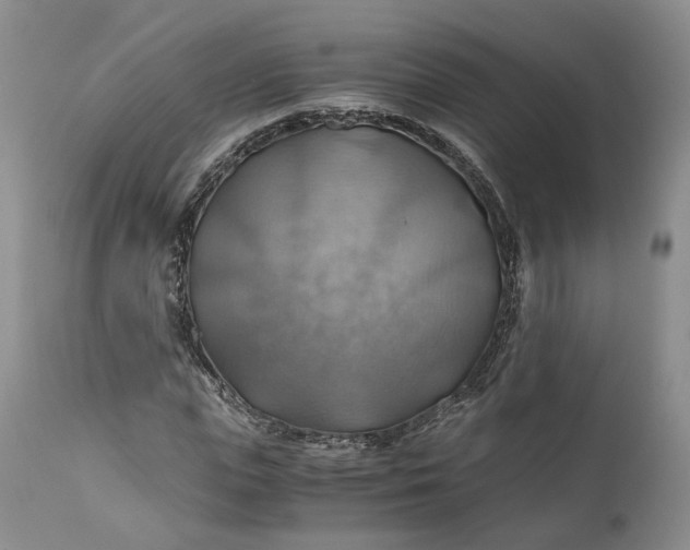 X0000111030823200907091543