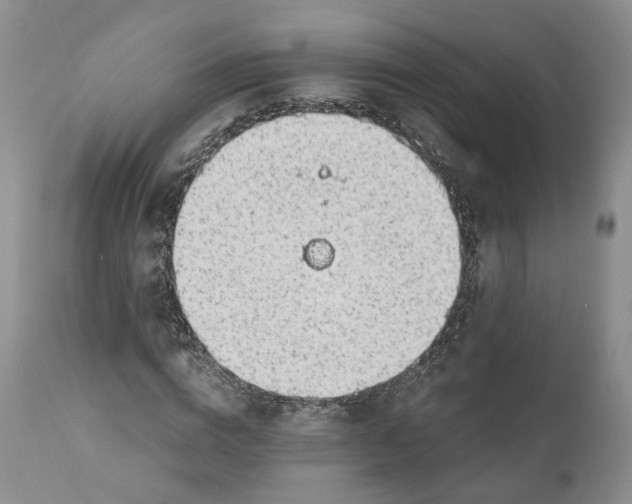 X0000111030824200907091543