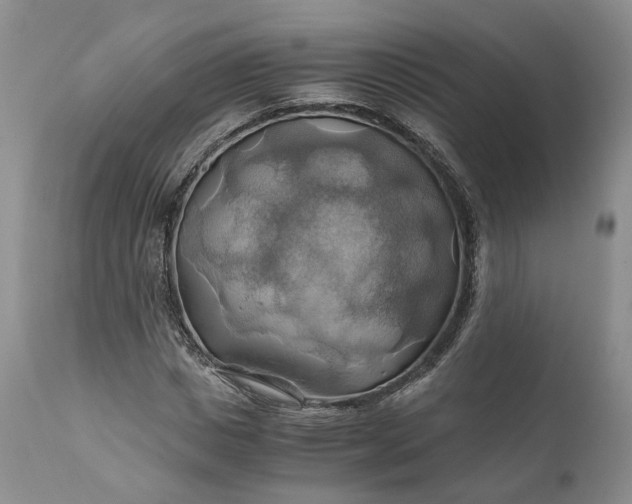 X0000111030825200907091543