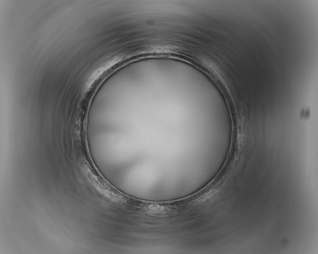 X0000111030827200907091543